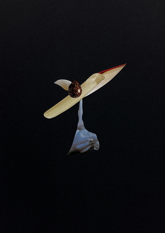 Object Series - 02_Nonsenso 